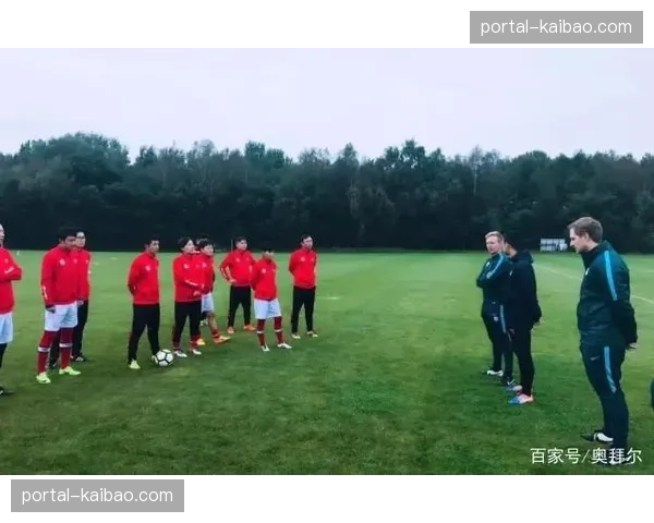 德国足协启动“街头足球2.0”计划，融入小型比赛战术训练模块